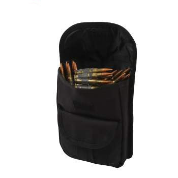 MOLLE 2 Pocket Ammo Pouch