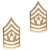 Army Command Sergeant Major (E-9) Rank No Shine (Pair)