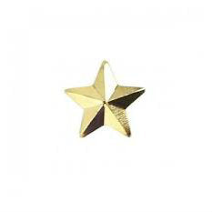Gold Star Ribbon Device