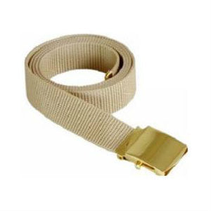 Khaki Military Style Web Belt With Brass Buckle and Tip
